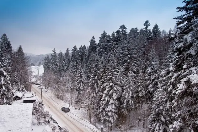 Deluxe Apart Daire (29)