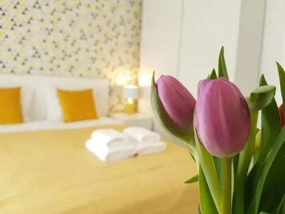 Standard Apart Daire