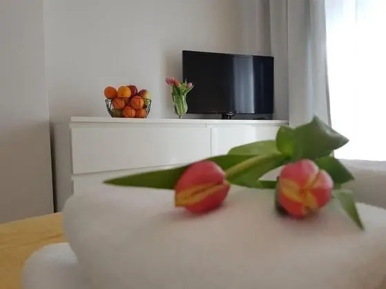 Standard Apart Daire