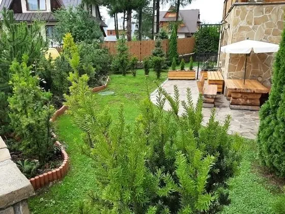 Deluxe Apart Daire, 1 Yatak Odası, Küçük Mutfak, Dağ Manzaralı (Tatrachata)