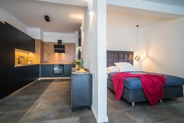 Business Apart Daire, 1 Büyük (Queen) Boy Yatak ve Çekyat, Şehir Manzaralı