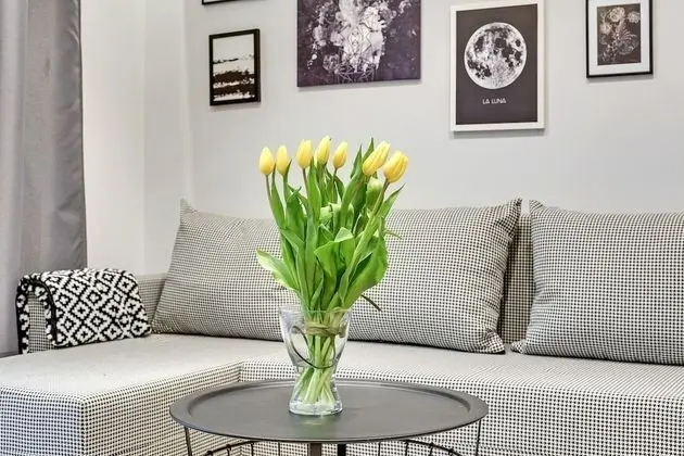 Comfort Apart Daire, 1 Yatak Odası, Teras (with parking - 119)