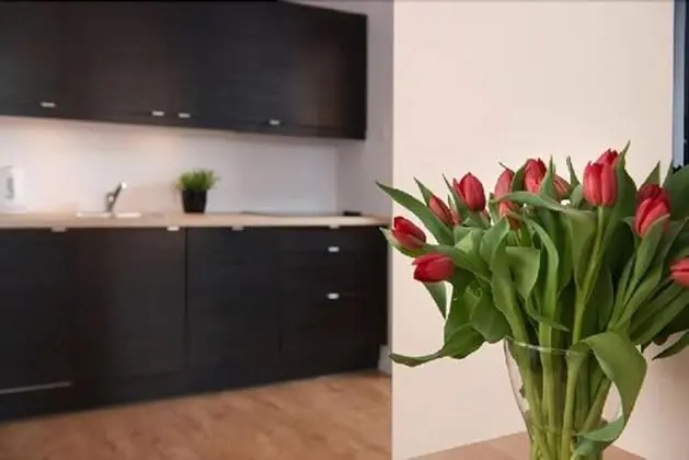 Apart Daire, Balkon, Nehir Manzaralı (without parking - 150A)