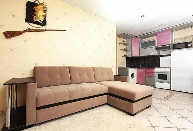 Apart Daire, 1 Yatak Odası