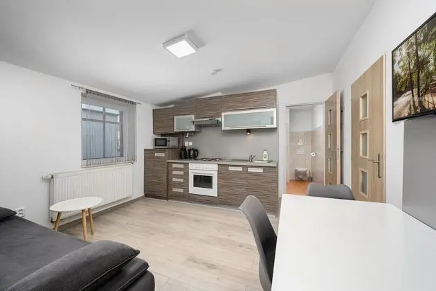 Süit, 1 Yatak Odası (#8)