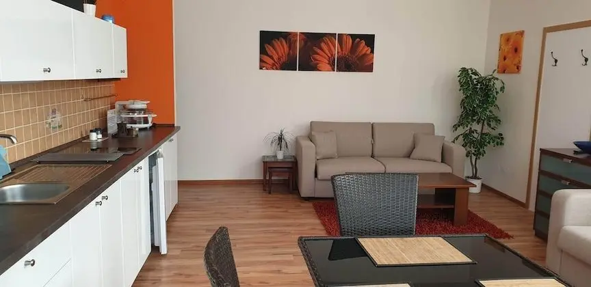 Deluxe Apart Daire, 1 Yatak Odası, Küçük Mutfak