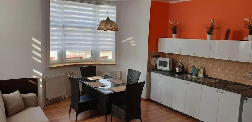 Deluxe Apart Daire, 1 Yatak Odası, Küçük Mutfak