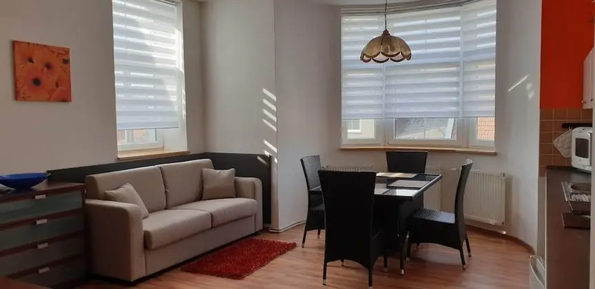 Deluxe Apart Daire, 1 Yatak Odası, Küçük Mutfak