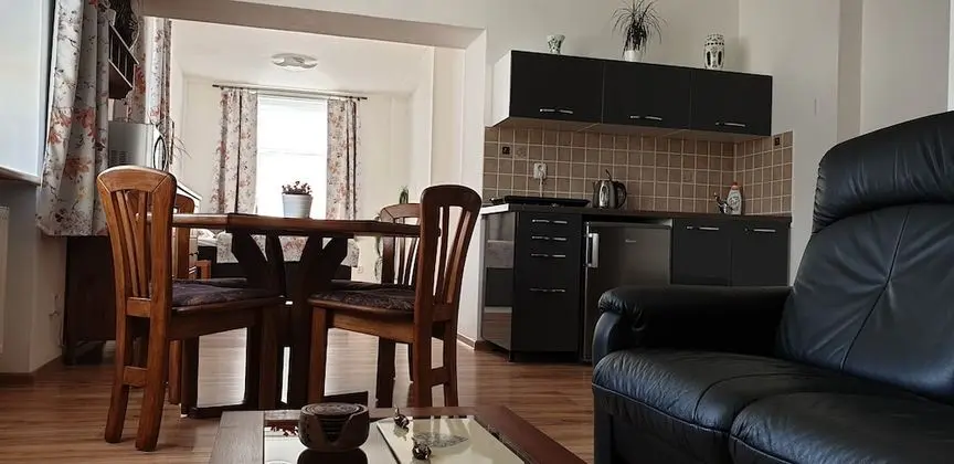 Deluxe Apart Daire, 1 Yatak Odası, Küçük Mutfak