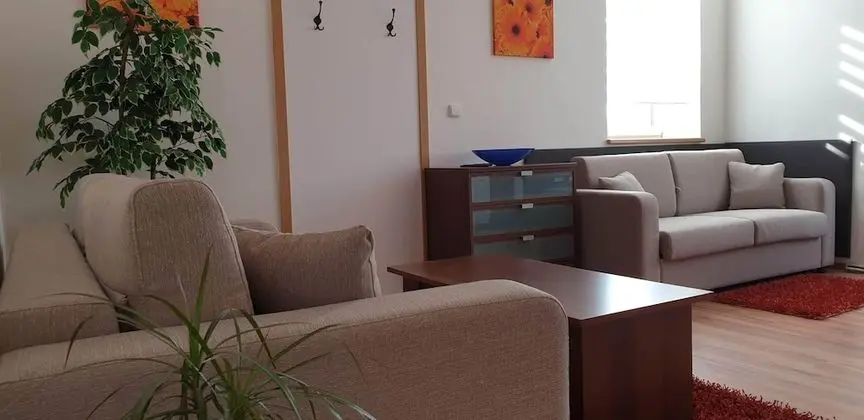 Deluxe Apart Daire, 1 Yatak Odası, Küçük Mutfak