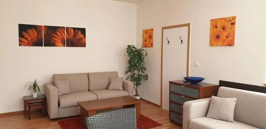 Deluxe Apart Daire, 1 Yatak Odası, Küçük Mutfak