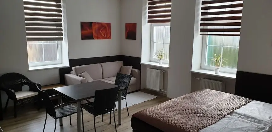 Stüdyo Süit, 1 Yatak Odası, Küçük Mutfak