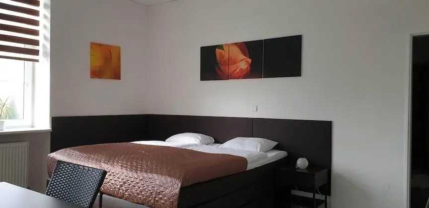 Stüdyo Süit, 1 Yatak Odası, Küçük Mutfak