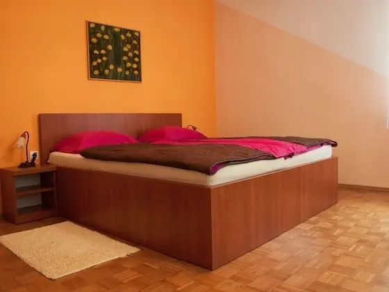 Comfort Tek Büyük Yataklı Oda, Ortak Banyo, Dağ Manzaralı (Soba D)