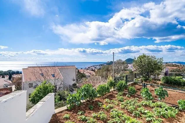 Apart Daire (Three-Bedroom Apartment)