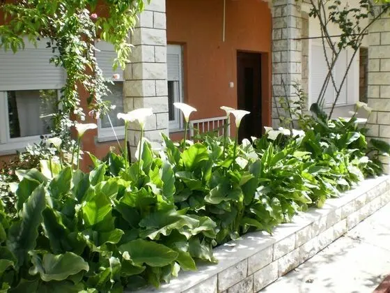 Standard Apart Daire, 2 Yatak Odası, Teras
