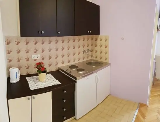 Standard Stüdyo (Purple)