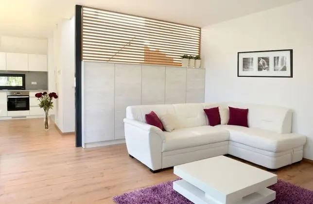 Superior Dubleks, 1 Yatak Odası, Mutfak