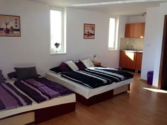 Apart Daire (4 Adults, with Shower)