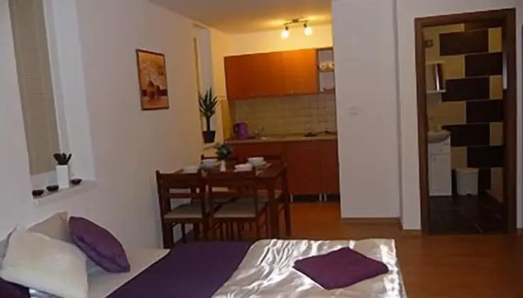 Apart Daire (4 Adults, with Shower)