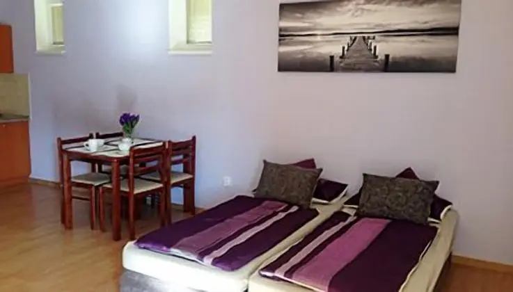 Apart Daire (4 Adults, with Shower)