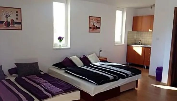 Apart Daire (4 Adults, with Shower)