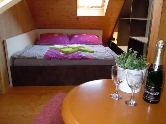 Classic Apart Daire, 2 Yatak Odası (Duplex, Javorovy, + Infrasauna)