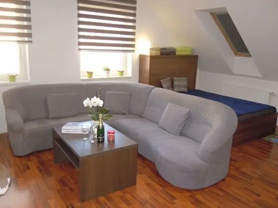 Comfort Apart Daire, 1 Yatak Odası (Duplex, Orechovy, + Infrasauna)