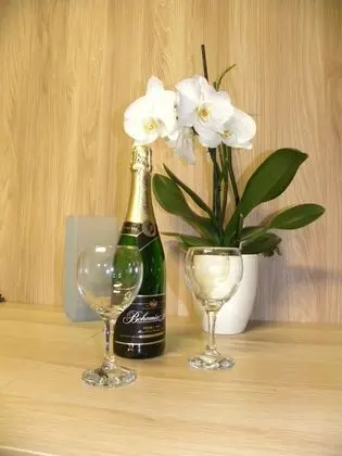 Standard Apart Daire, 1 Yatak Odası, Balkon (Kastanovy, + Infrasauna)
