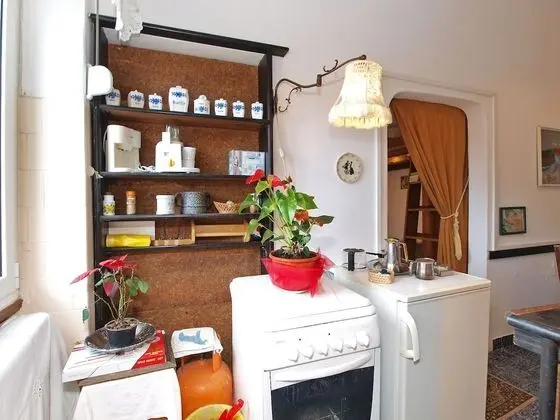 Standard Apart Daire, 1 Yatak Odası (1050/3915)