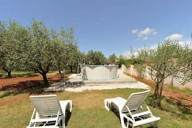 Standard Apart Daire, 1 Yatak Odası (0289)