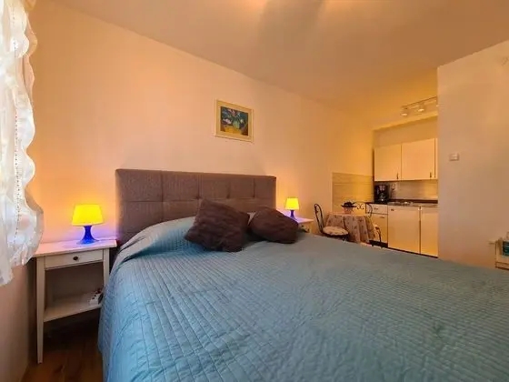 Standard Stüdyo, 1 Yatak Odası (0342)