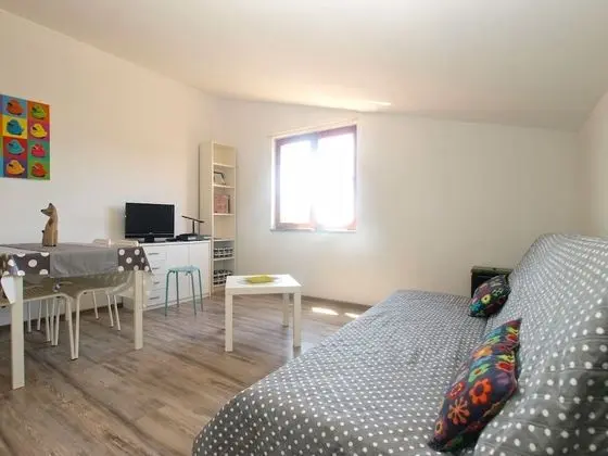 Standard Stüdyo, 1 Yatak Odası (0367)