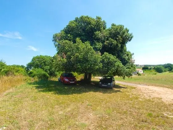 Standard Stüdyo, 1 Yatak Odası (0367)