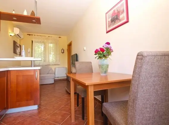 Standard Apart Daire, 1 Yatak Odası (1655/17139)