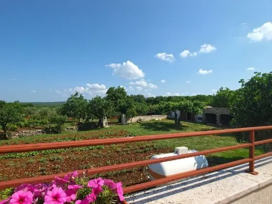 Standard Apart Daire, 1 Yatak Odası (1655/17139)