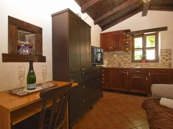 Standard Stüdyo, 1 Yatak Odası (1655/17138)