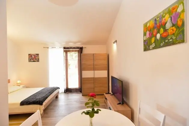 Standard Stüdyo, 1 Yatak Odası (0449)