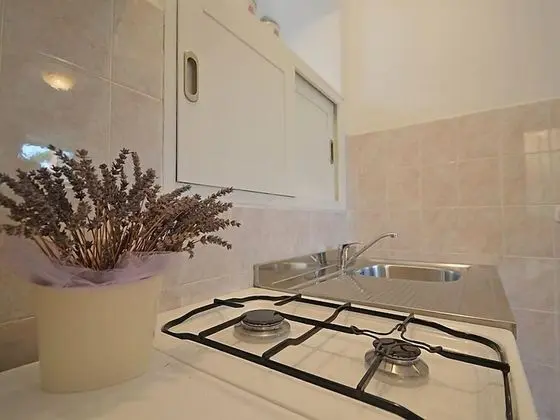 Standard Apart Daire, 1 Yatak Odası (1770/20341)