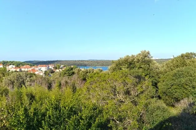 Standard Apart Daire, 1 Yatak Odası (20374)