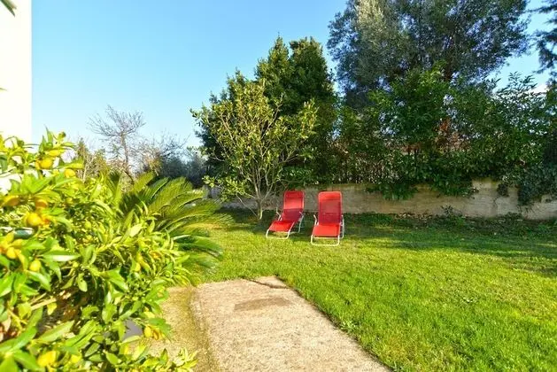 Standard Apart Daire, 1 Yatak Odası (20374)