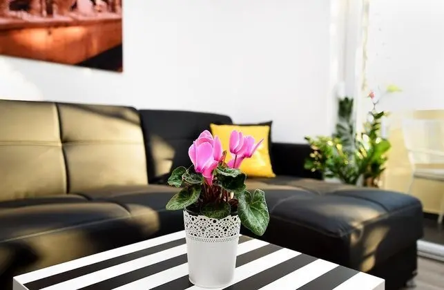 Standard Apart Daire, 2 Yatak Odası (21382)