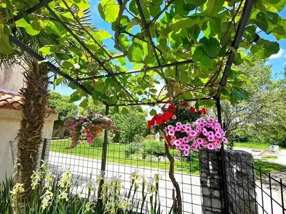 Standard Apart Daire, 2 Yatak Odası (21495)