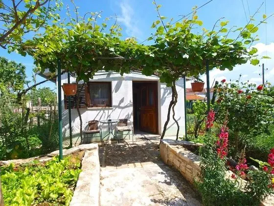 Standard Apart Daire, 1 Yatak Odası (23032)