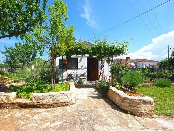 Standard Apart Daire, 1 Yatak Odası (23032)