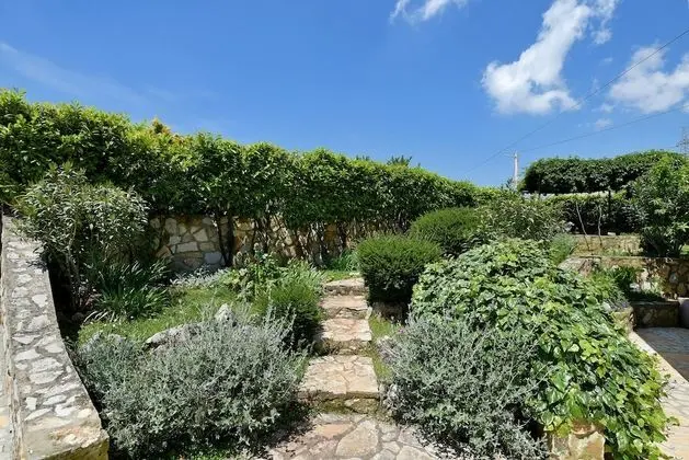 Standard Apart Daire, 1 Yatak Odası (23048)