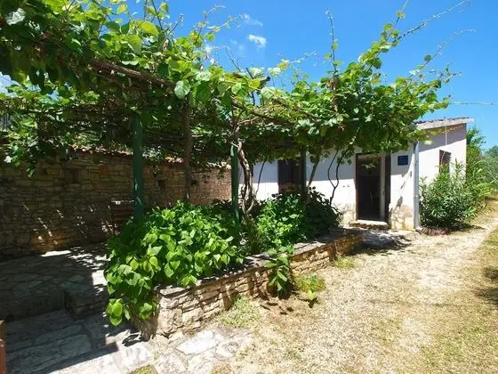 Standard Apart Daire, 1 Yatak Odası (23452)