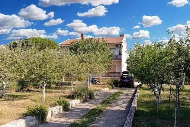 Standard Apart Daire, 3 Yatak Odası (24544)