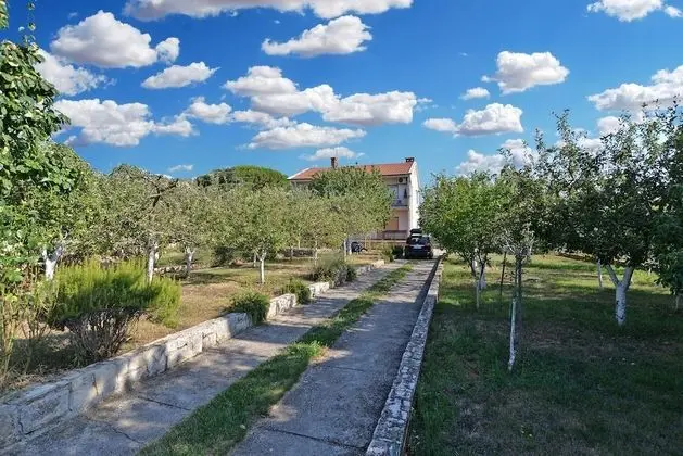 Standard Apart Daire, 3 Yatak Odası (24544)