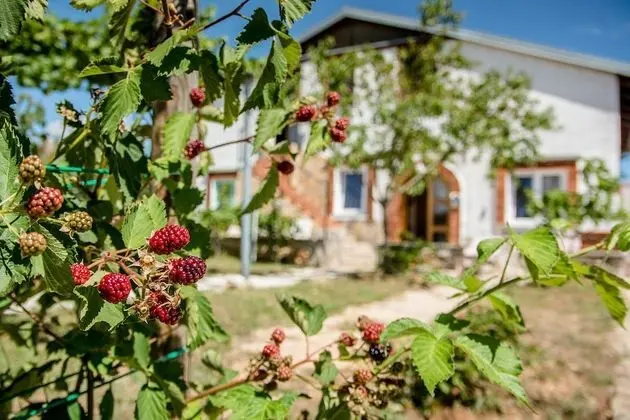 Standard Apart Daire, 3 Yatak Odası (26957)